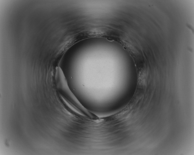 X0000098150474200804241744