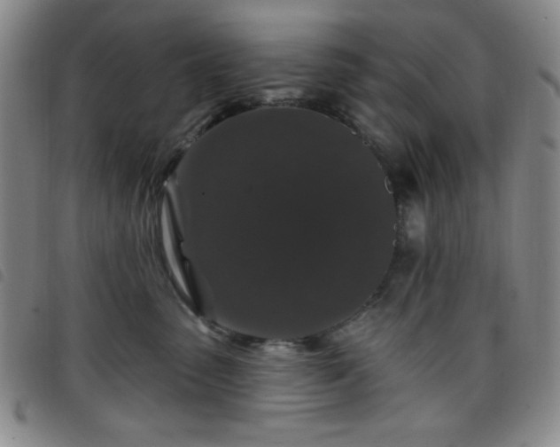X0000098150475200804241744