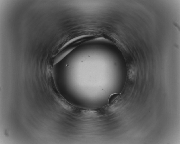 X0000098150476200804241744