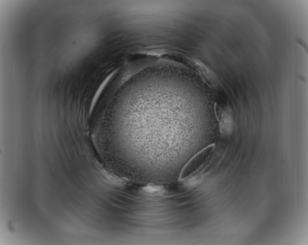 X0000098150477200804241744