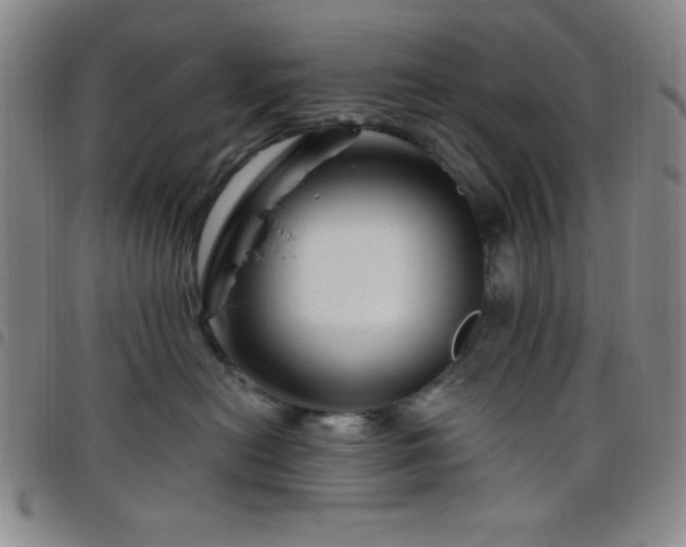 X0000098150478200804241744