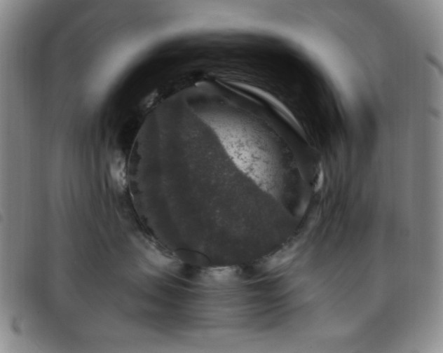 X0000098150479200804241744