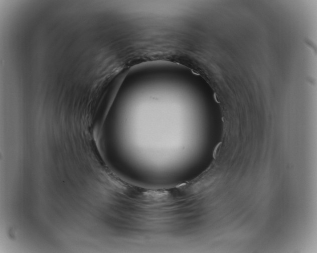 X0000098150480200804241744