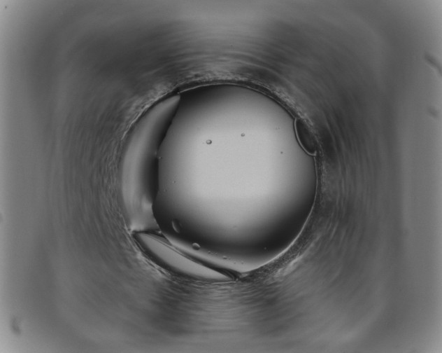 X0000098150481200804241743