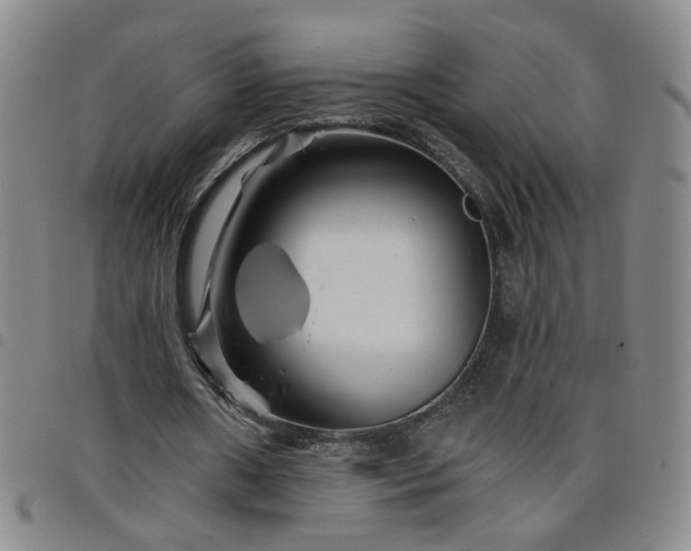 X0000098150482200804241743