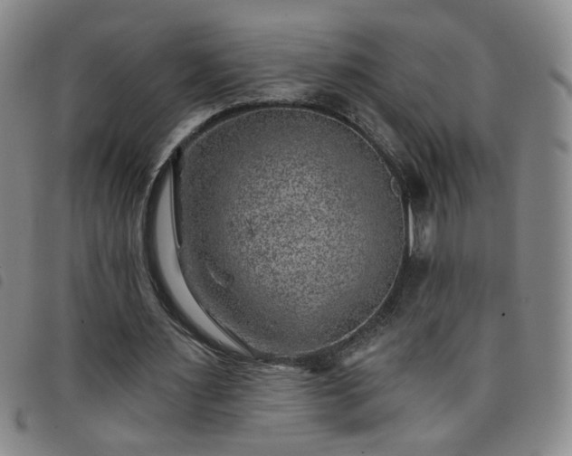 X0000098150483200804241743