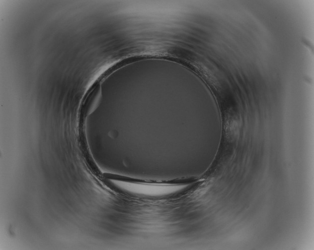 X0000098150484200804241743