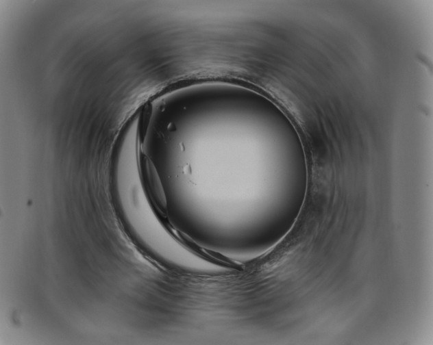 X0000098150485200804241743
