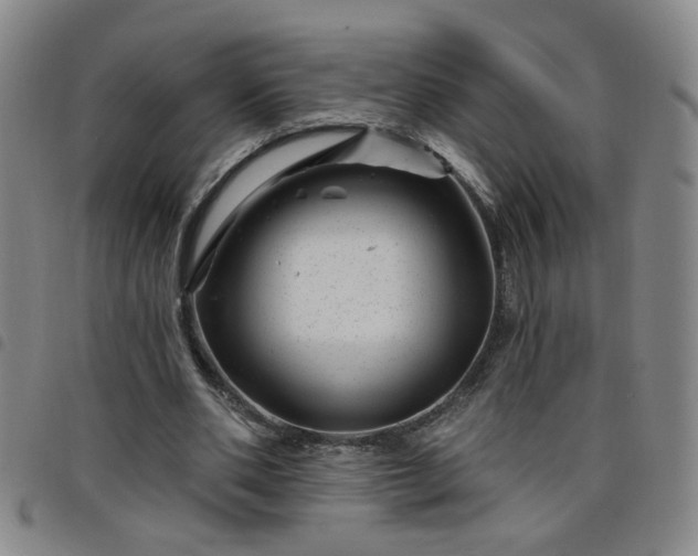 X0000098150486200804241743
