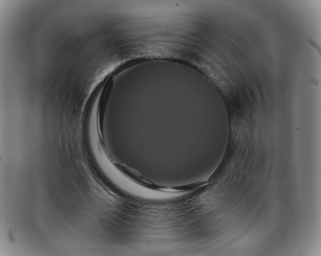 X0000098150488200804241743