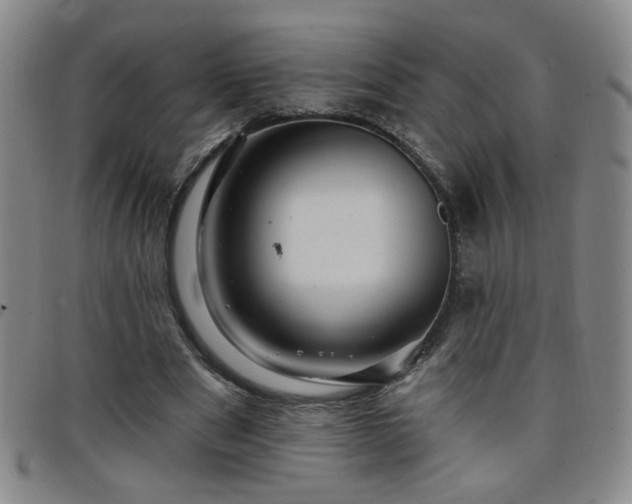 X0000098150489200804241743