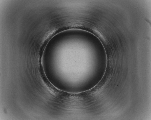 X0000098150490200804241743