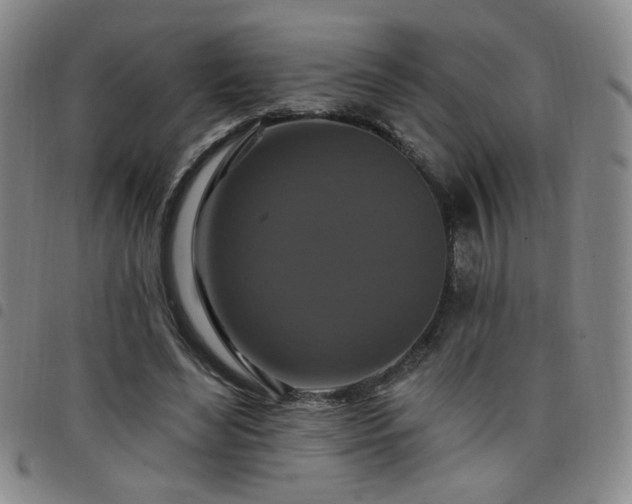 X0000098150492200804241743