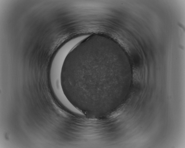 X0000098150493200804241743