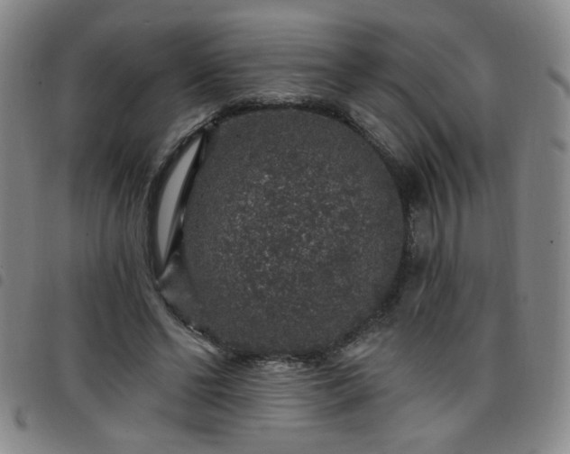 X0000098150494200804241743