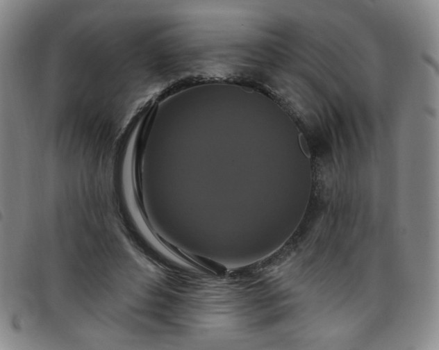 X0000098150496200804241743