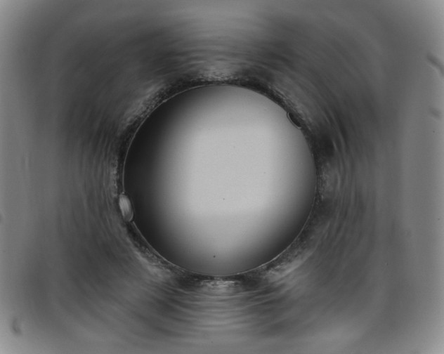 X0000098150497200804241743