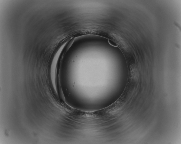 X0000098150498200804241743