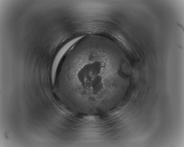 X0000098150499200804241743