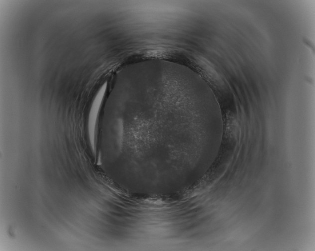 X0000098150502200804241743