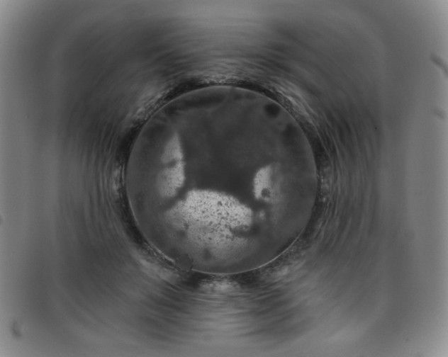 X0000098150503200804241743