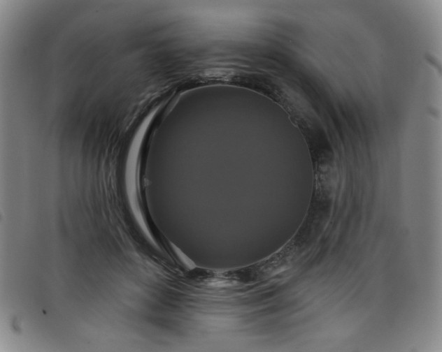 X0000098150504200804241743