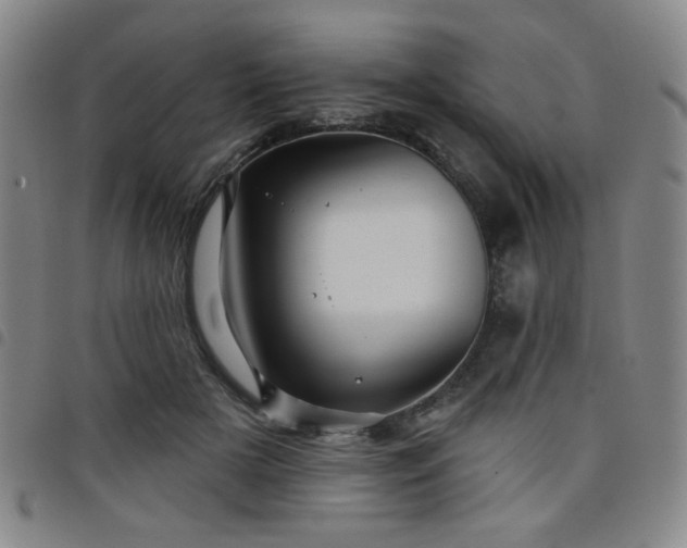 X0000098150505200804241743