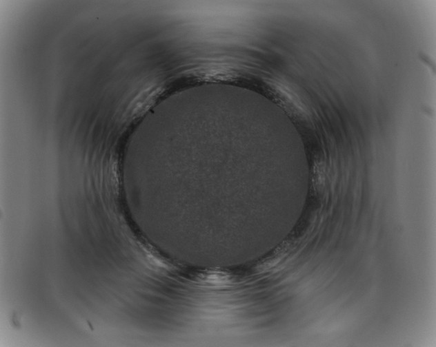 X0000098150506200804241743