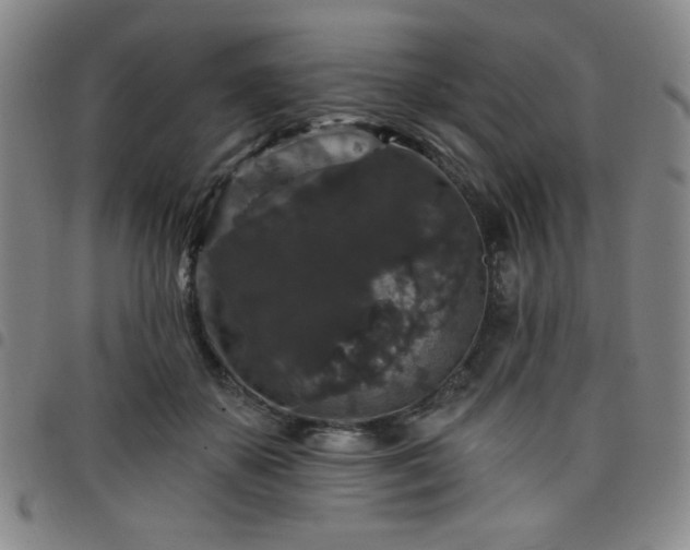 X0000098150507200804241743