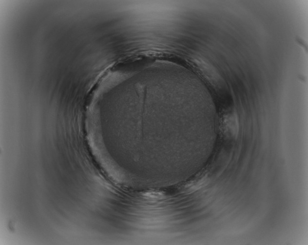 X0000098150508200804241743