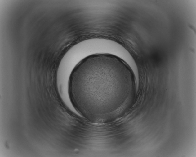 X0000098150511200804241743