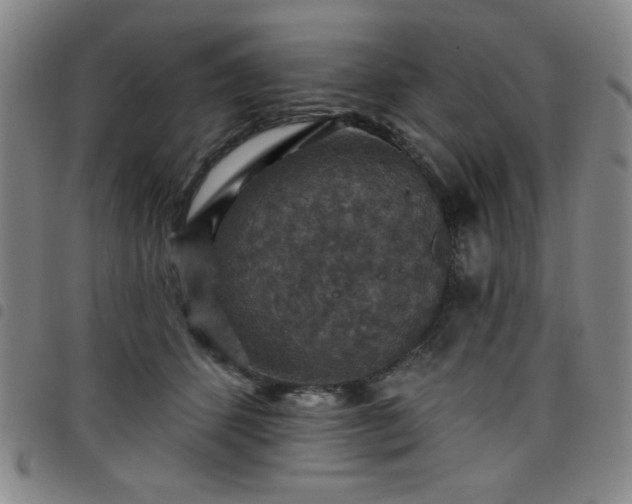 X0000098150512200804241743