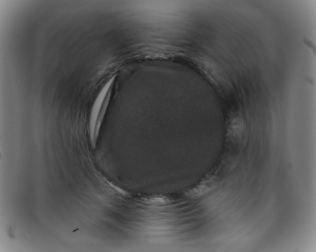 X0000098150513200804241743