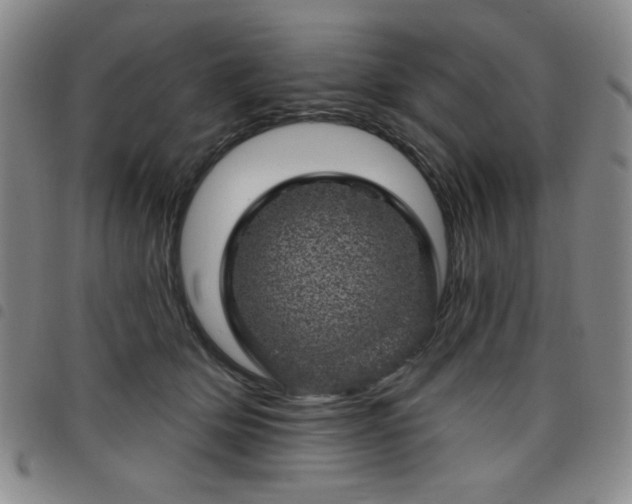X0000098150514200804241742