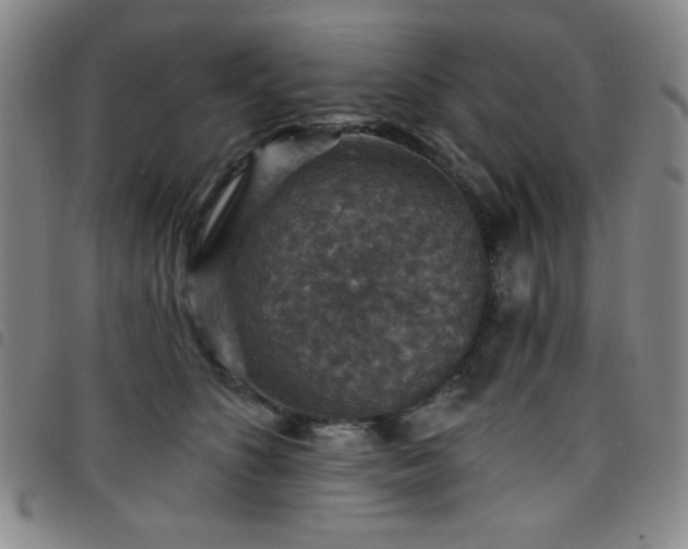 X0000098150516200804241742