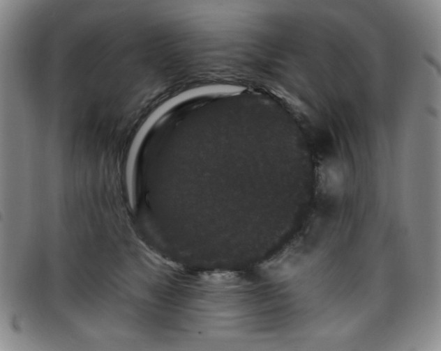 X0000098150517200804241742