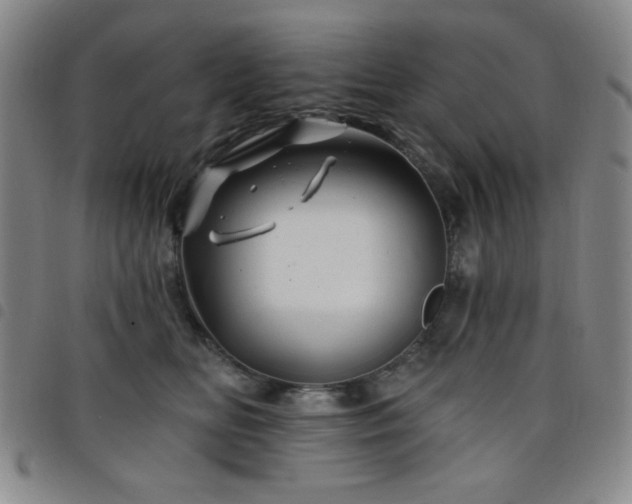 X0000098150518200804241742