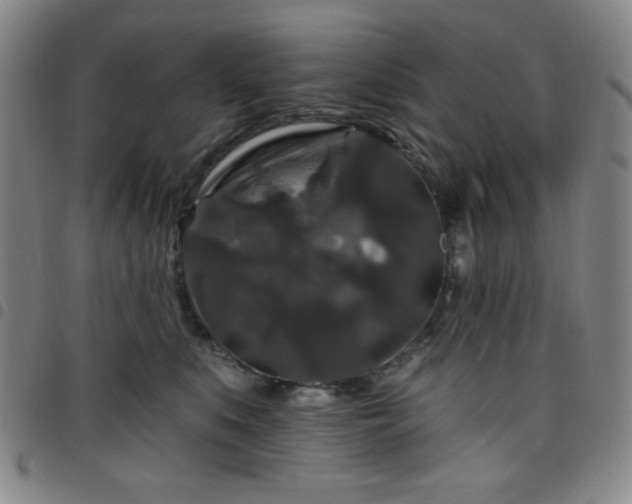 X0000098150519200804241742