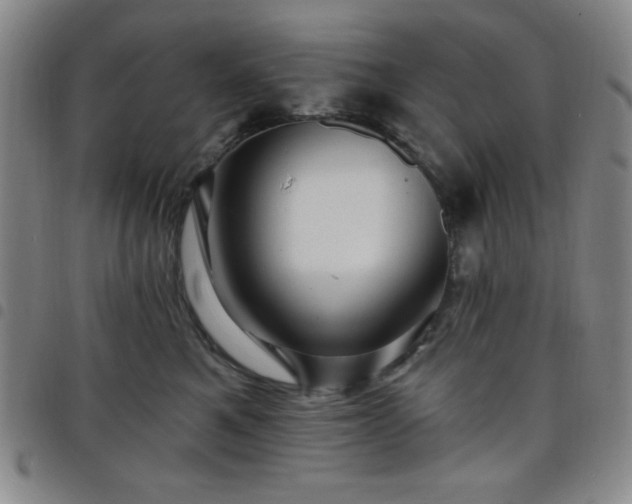 X0000098150521200804241742