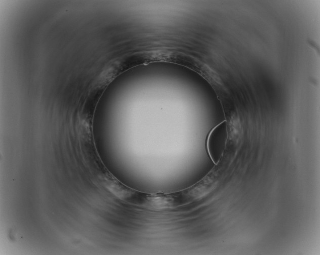 X0000098150522200804241742