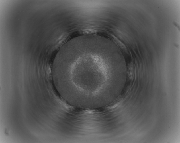 X0000098150523200804241742