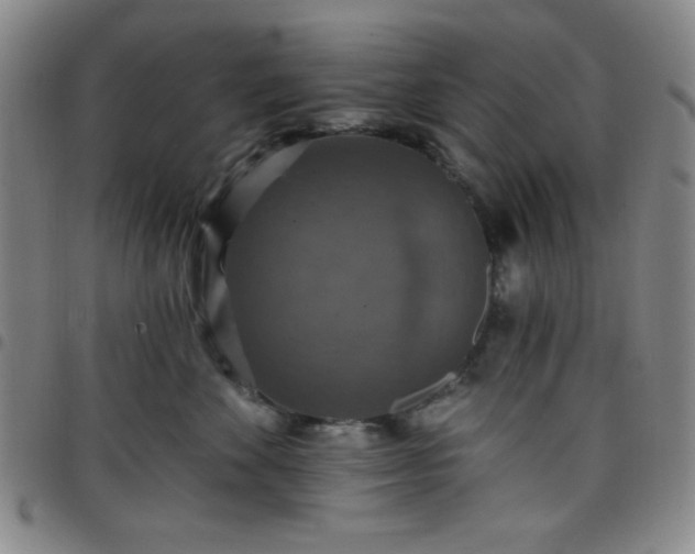 X0000098150524200804241742