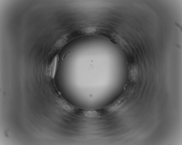 X0000098150525200804241742
