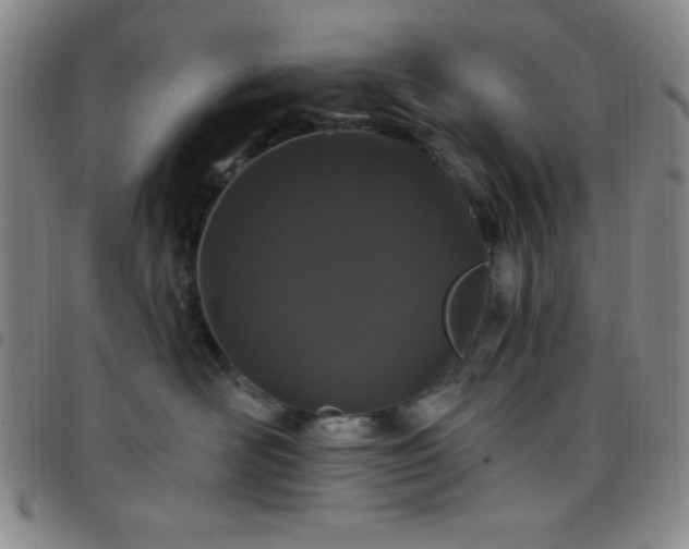 X0000098150526200804241742