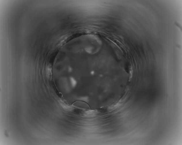 X0000098150527200804241742