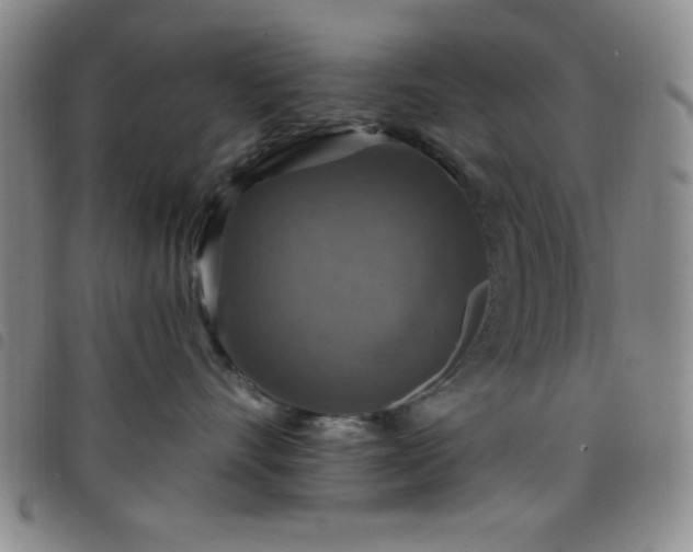 X0000098150528200804241742