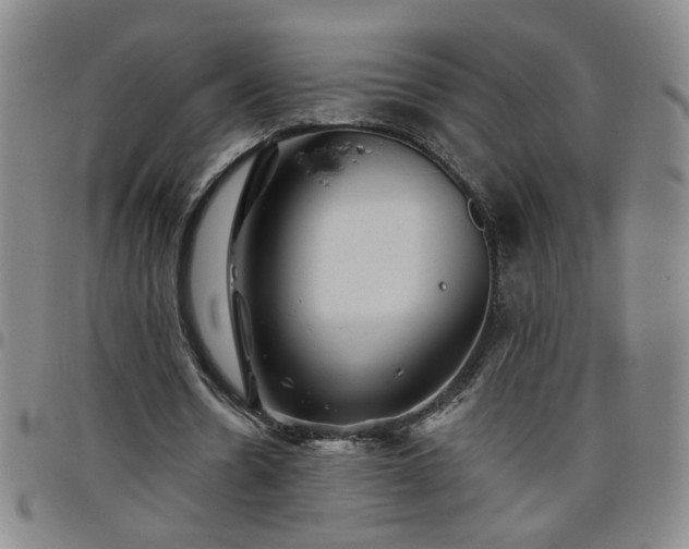 X0000098150530200804241742