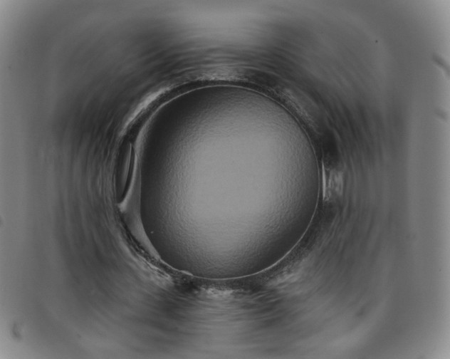 X0000098150531200804241742