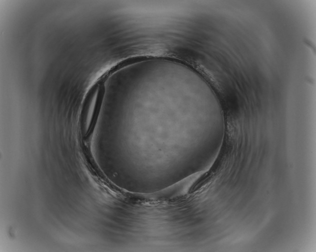 X0000098150532200804241742