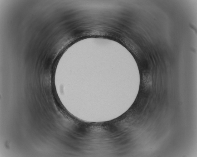 X0000098150534200804241742